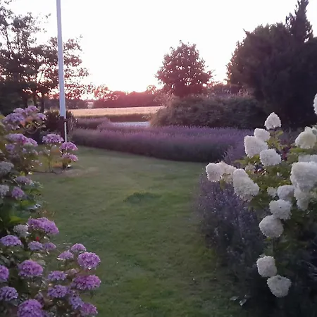 דירה Guldbjerghus *