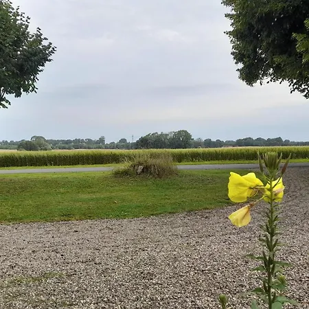 דירה Guldbjerghus *